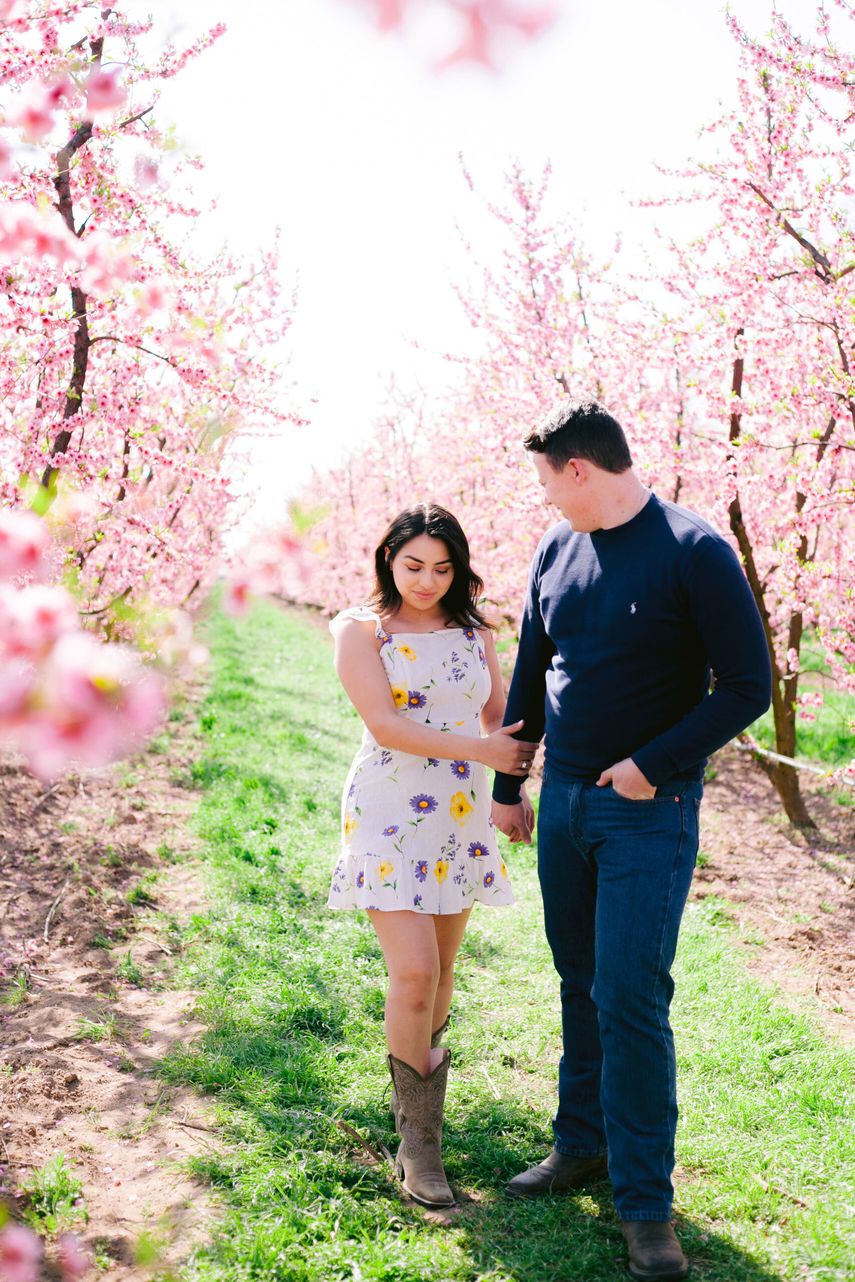 Man leading woman through pink orchards