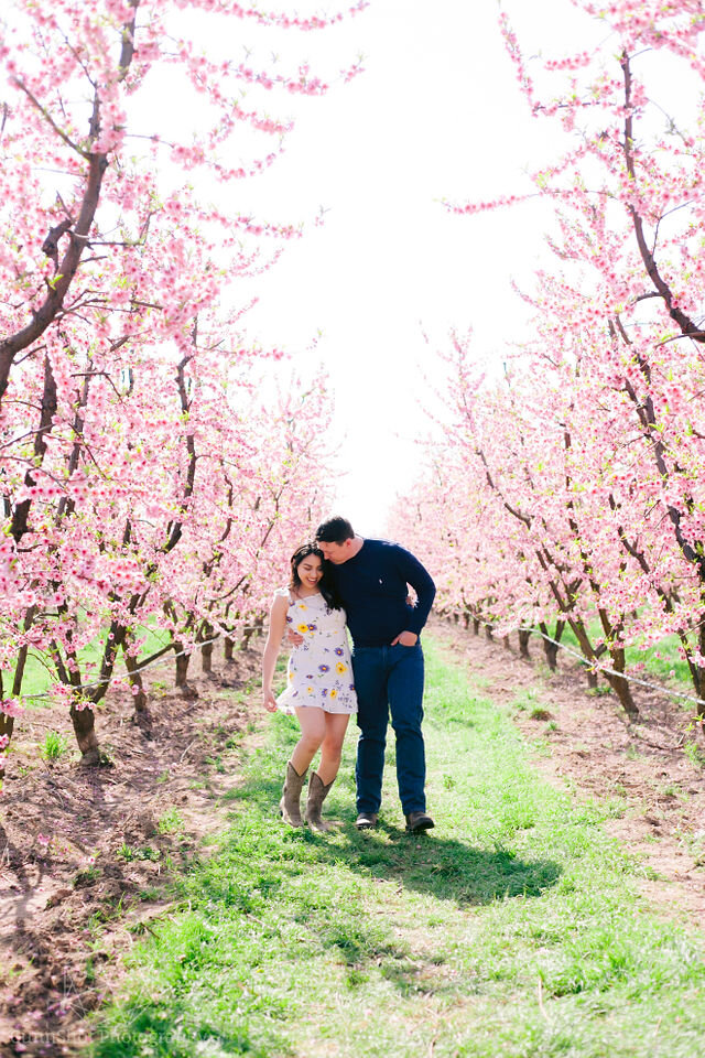 woman wearing floral dress and cowboy boots hugging man in pink orchard. 
